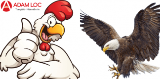 Gà khác đại bàng ra sao? ga-va-dai-bang