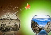 Làm thế nào để thay đổi cuộc đời mình thay-doi-cuoc-doi