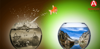 Làm thế nào để thay đổi cuộc đời mình thay-doi-cuoc-doi