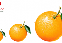 Kích thước ảnh Fanpage chuẩn nhất, size ảnh Facebook Profile đầy đủ kich-thuoc-anh-fanpage-chuan-nhat