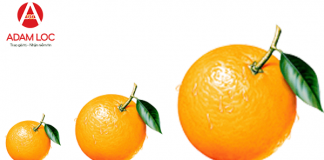 Kích thước ảnh Fanpage chuẩn nhất, size ảnh Facebook Profile đầy đủ kich-thuoc-anh-fanpage-chuan-nhat